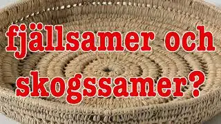 Mat. Skiljde sig kosten mellan fj&auml;ll- och skogssamer? &mdash; Samiska versionen av 1600 talet