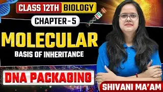 Class 12th Biology Chapter 5 | Molecular Basis of Inheritance | DNA Packaging | UP Board Exam 2026