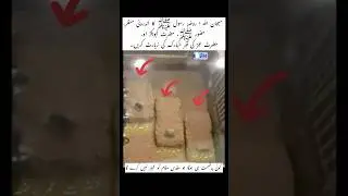 Roza e rasool💕Masjid Nabwi ka androni nayab manzar #shortvideo #islamic #qoutes #trending #foryou