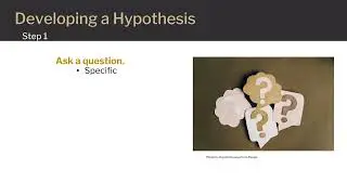 Writing a Hypothesis