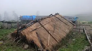 Real Nepali Village Life || Daily Activities people Himalayan Village || Remote Village Story Nepal