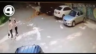 In Yekaterinburg, a young couple set fire to poplar (cottonwood) fluff... start car and house fire.