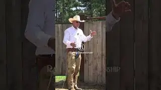 How To Evaluate A New Horse  1
