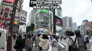 Walking in Shinjuku Tokyo 🇯🇵 | Nightlife, Neon Lights & City Vibes