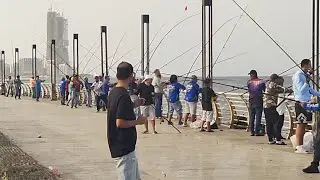 ARABIC DRIVER CASTING FISHING IN THE RED SEA