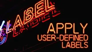 Advanced functional training: Apply User-defined labels
