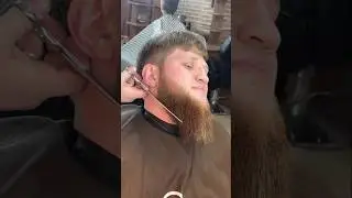 Long beard cut #beard #barber #shortsfeed