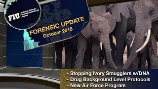 NFSTC@FIU | Forensic Update | October 2018