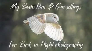 My Basic 