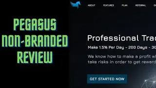 Pegasus Crypto Trading Platform Non-Branded Review| Pegasus