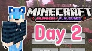 Minecraft Raspberry Flavoured Day 2