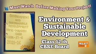 Class 12 Economics Project File on Environment and Sustainable Development  #projectexpress #cbse