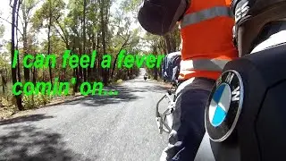 BMW GS Safari 2020 - The Safari You Have When You Are Not Having a Safari
