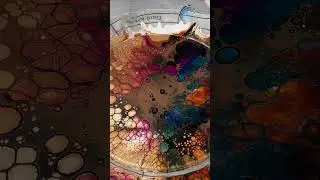 Sheleeart - Acrylic Fluid Art - A bloom that wasn't blooming, scoop, stretch, and drag ta da!