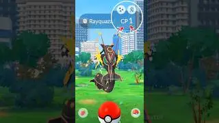 Wild LeveL 1 Shiny MEGA RAYQUAZA in Pokemon GO.