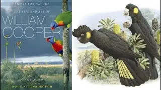 The life and art of William T. Cooper - ABC Radio