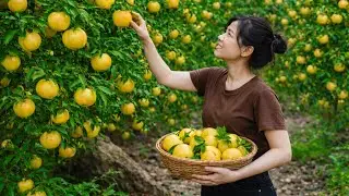 [4] A Calm Day at Home 🏡|  Harvesting Star Apples, Simple Cooking & Planting Seeds 🌱