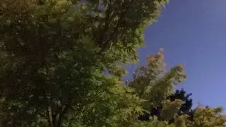 BITCOIN ALL TIME HIGHS / THE HALVENING (TTH 138) (08/10/25)