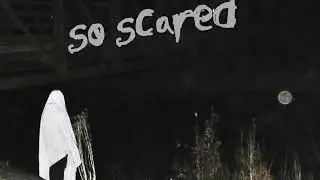 blxnk - so scared
