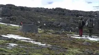 Jaktgal - med Arild Dahl