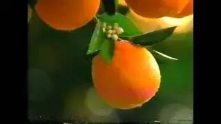 2003 - Simply Orange Commercial