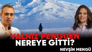 Bir Peuguenden Neler &Ccedil;ıktı? | Bunlar | Nevşin Meng&uuml; - OSD