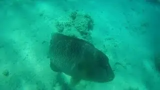 Трейлер канала aqua hunter  Trailer channel aqua hunter