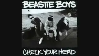 So What'cha Want   Beastie Boys