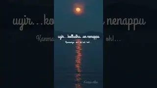 Kangal edho #pradeep_kumar #santhoshnarayanan #tamil #chitha #leo #shortvideo #shorts