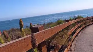 SHELL BEACH BLUFF TRAIL