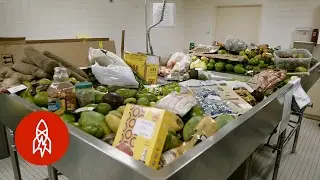 Где погибает нелегальная еда
