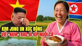 Không Chỉ Lúa Gạo: Việt Nam Mang Cả “Bí Kíp Nuôi Cá” Vào Triều Tiên, Cả Thế Giới Bất Ngờ