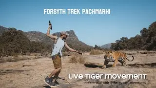 TIGER FOOTPRINTS FOUND 😱 | LIVE TIGER MOVEMENT in Pachmarhi | Forsyth Trek Jungle Vlog 🐅