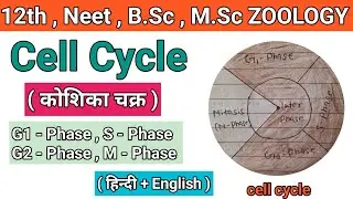 Cell Cycle ( कोशिका चक्र ) || inter phase , m phase || cell cycle in hindi #cellcycle #zoology