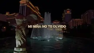 Verdad Alterada - Gael Herrera (Video Letras)