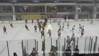 D1 in DC Minnesota vs Cornell Women's NCAA Division 1 Ice Hockey 11/25/23 4:00 pm