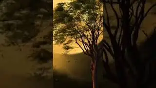 wow🤩😲😍, wonderful nature video🤗                       #shorts #relaxing #nature #4k #hd #satisfying