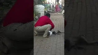 Power of Namokar mantra (save monkey) #jain #jainism #india #jainstatus #public #people #saveanimals