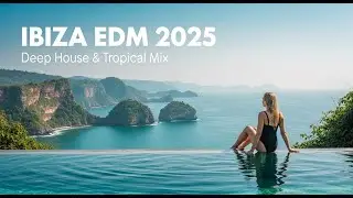 EDM Party Mix 2025 | High Energy Festival & Rave Playlist &ndash; Avicii & Alan Walker Vibes