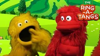 Hokey Pokey That's What It's All About - Ring-a-Tangs Puppet Show | Fun Learning Songs with Monkeys