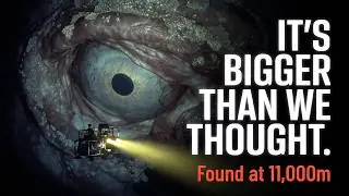 Kraken Awakens: Giant Squid in the Hadal Zone