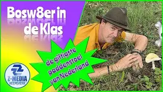 Bosw8er in de Klas: De giftigste paddenstoel van Nederland (aflevering 21) 4k