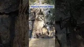#waterfall #shorts #viral #viralshorts #daringbadi #trending #travelvlog #odisha #ytshorts #animal #