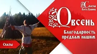Овсень - время благодарности / Сказы Кота Баюна