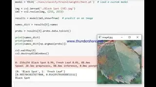 Yolov8 image classification model deployment using flask
