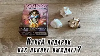 Какой подарок вас вскоре ожидает? Гадание на оракуле Карина Захарова