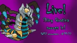 My first live shiny! The Distortion World's Giratina appears after 16132 soft resets!