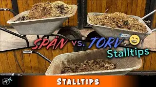 Fördelarna med TORVBÄDD jämfört med SPÅN! STALLVLOGG!