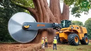 Máy Cưa Xích Khổng Lồ Nguy Hiểm Bậc Nhất – Chặt Cây Chỉ Trong Vài Giây!