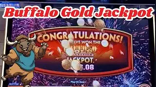 Buffalo Gold Wonder 4 Jackpot